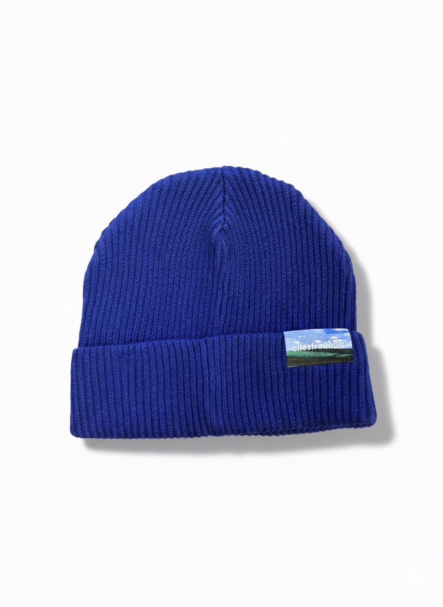 allesfreunde Beanie Blau